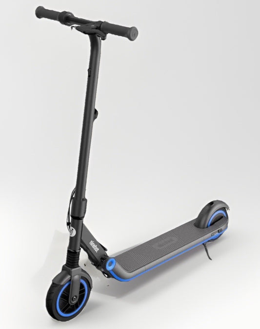 Segway Ninebot E10 Electric Kick Scooter